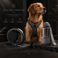 Pack Balade Tout-en-Un AnimalCompagnon (Noir)